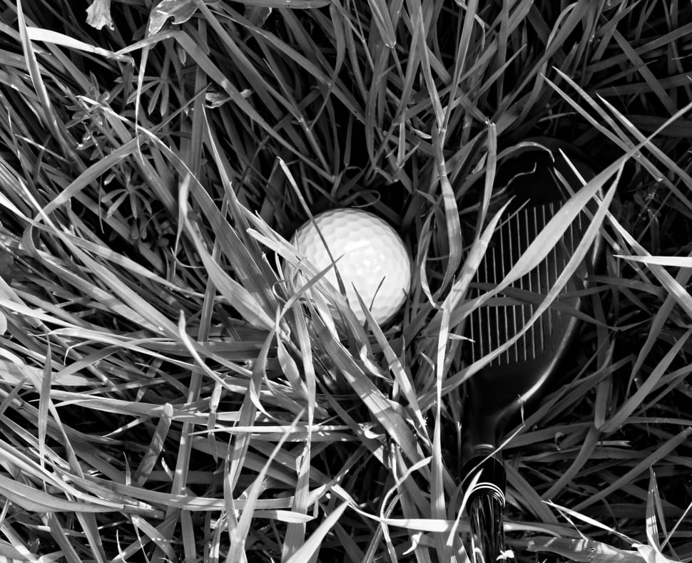 gray scale photography of golf ball on grass preview