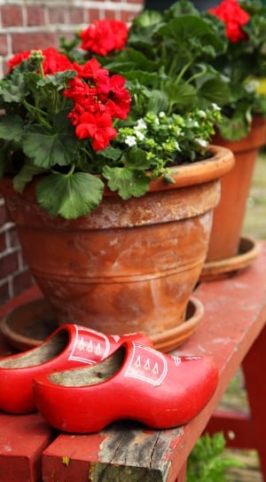red wooden shoes thumbnail