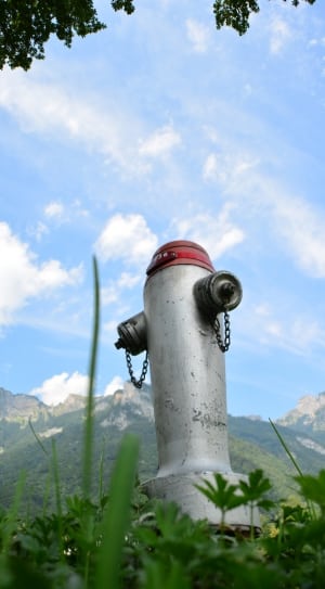 grey and red fire hydrant thumbnail