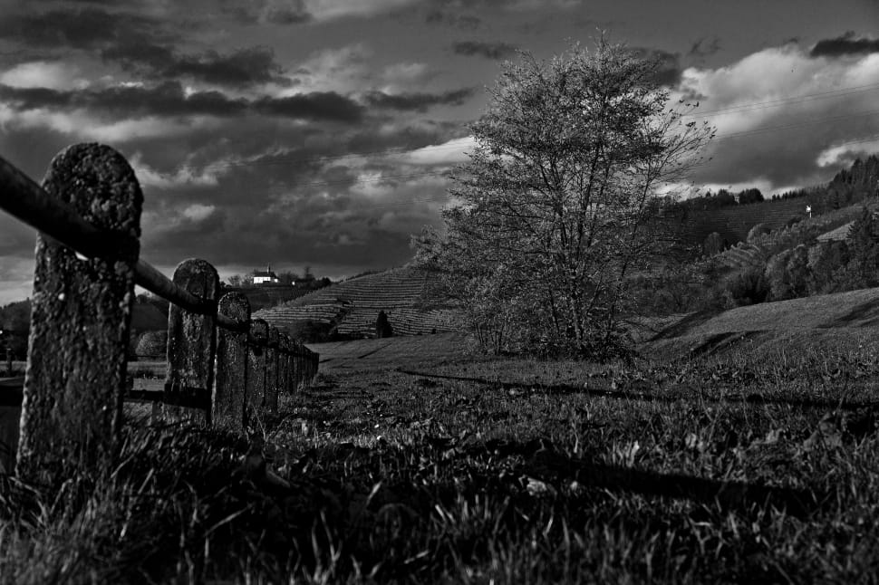 grayscale photo of fence in grasslands landscape preview