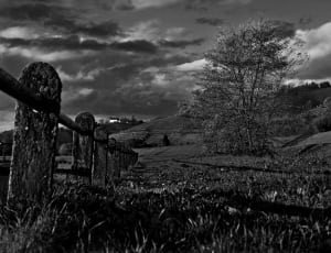 grayscale photo of fence in grasslands landscape thumbnail