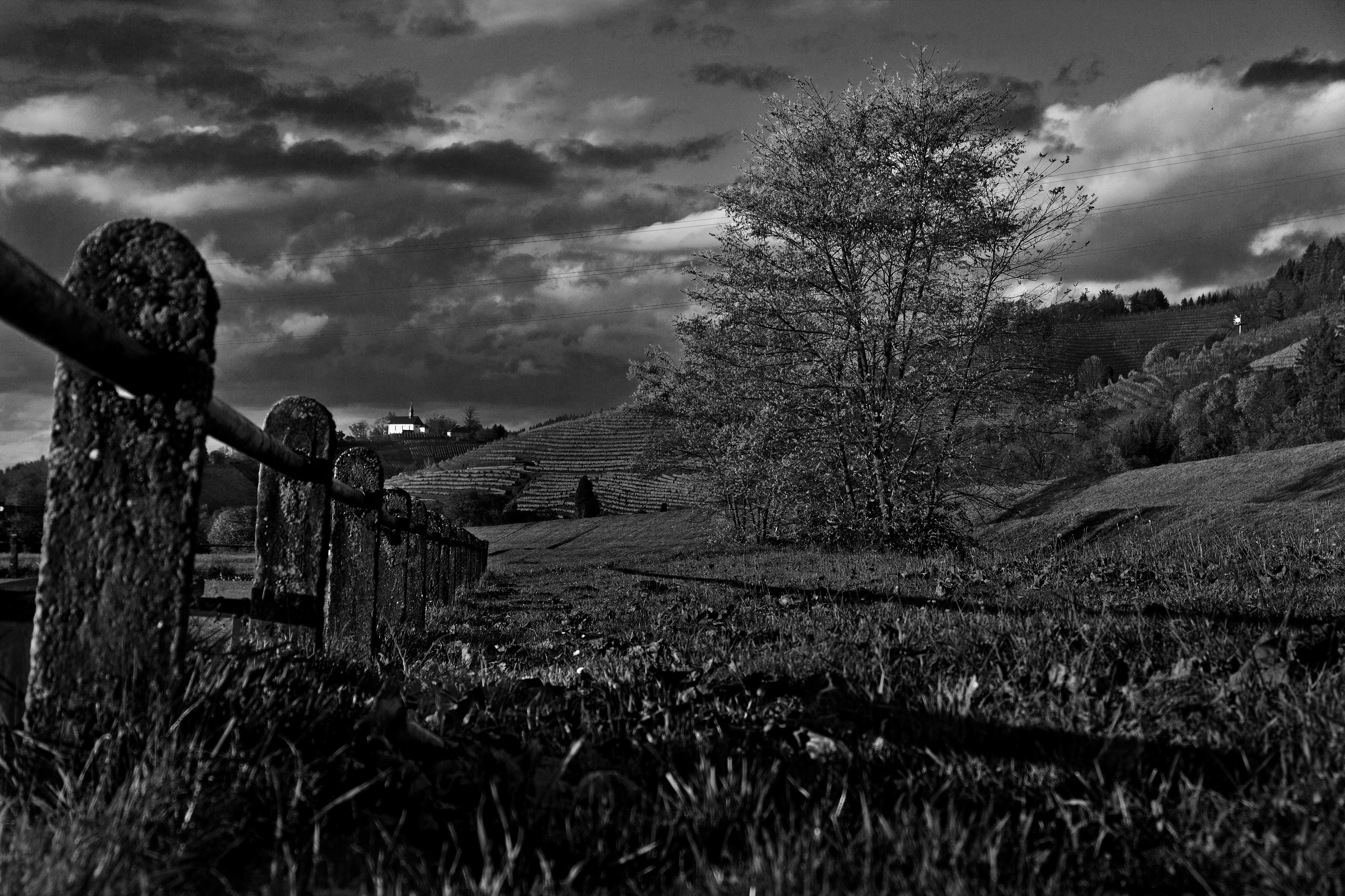 grayscale photo of fence in grasslands landscape