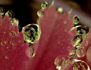 clear water droplets thumbnail