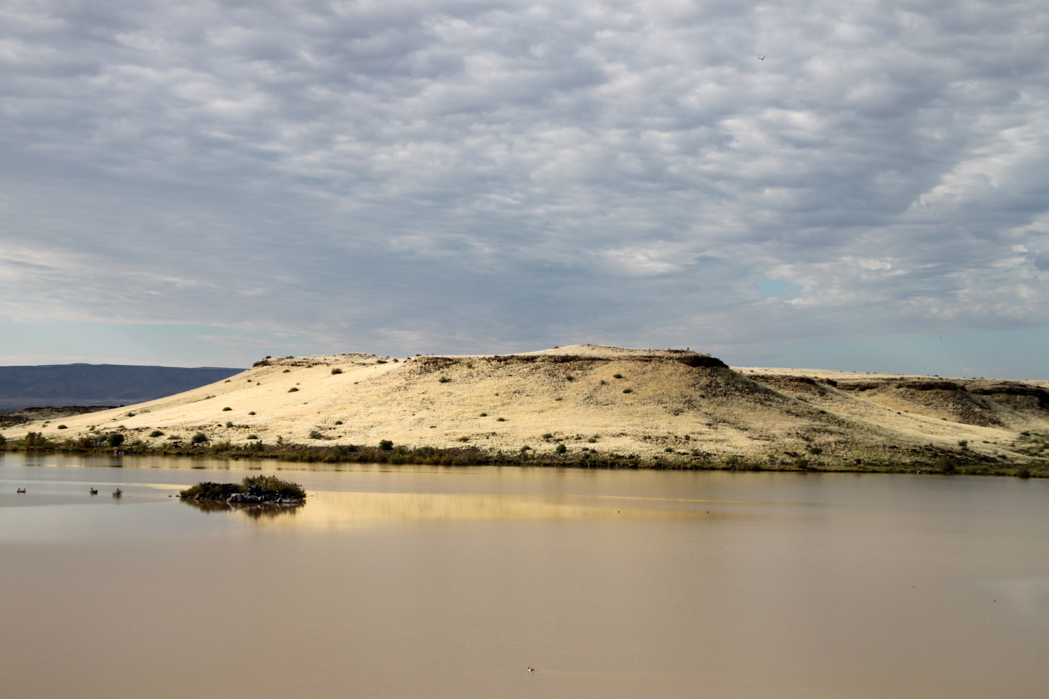 beige hill beside body of water