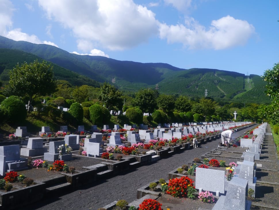 cemetery near mountain preview