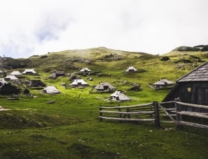 small houses on green grass field thumbnail