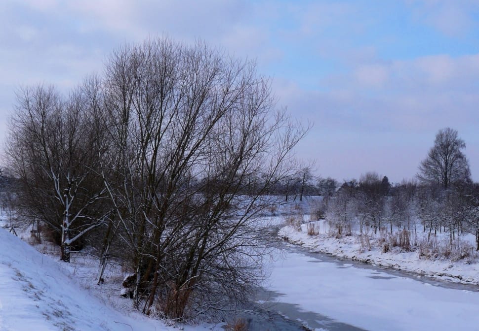 frozen river photo preview