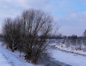frozen river photo thumbnail