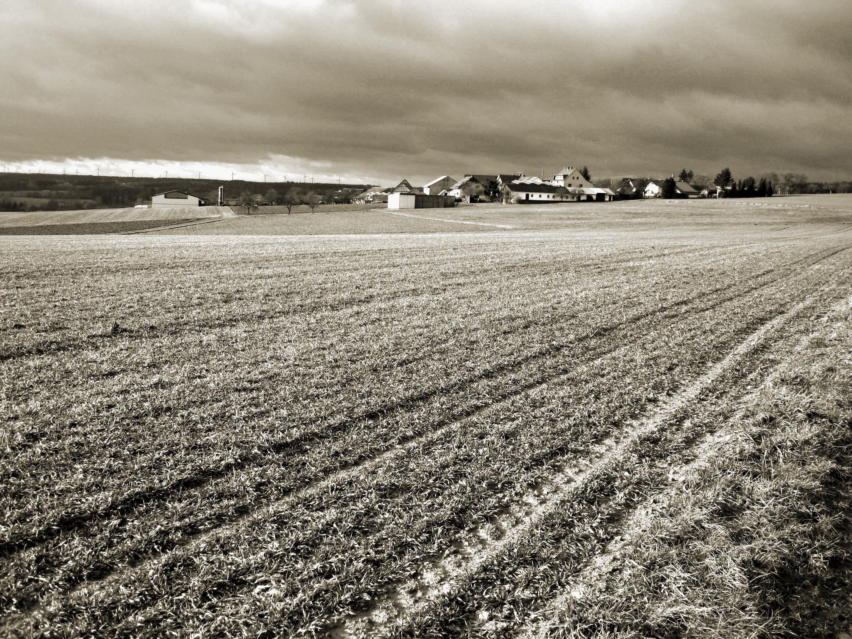 2560x1440 wallpaper | farm field | Peakpx