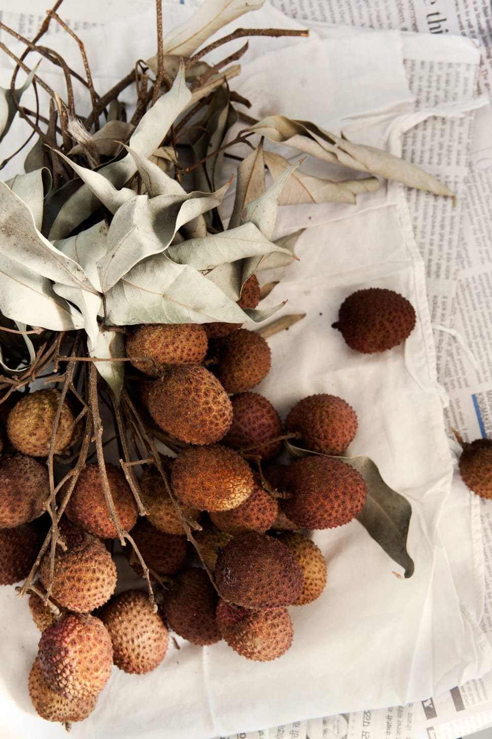 brown fruit with dry leaves on white textile during daytime preview