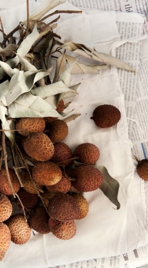 brown fruit with dry leaves on white textile during daytime thumbnail
