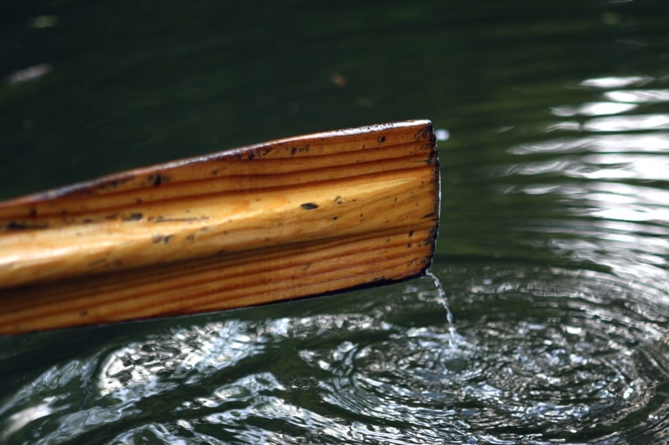 brown wooden boat paddle preview
