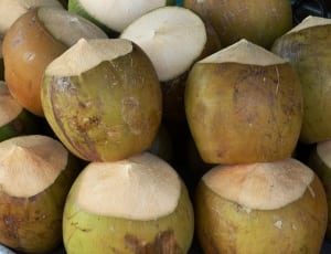 coconuts thumbnail