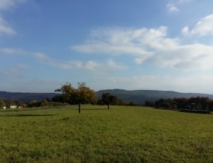 green field and blue sky photo thumbnail