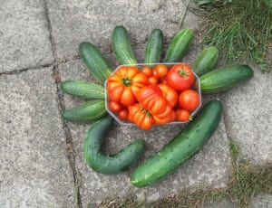 green cucumber and orange tomatoes thumbnail