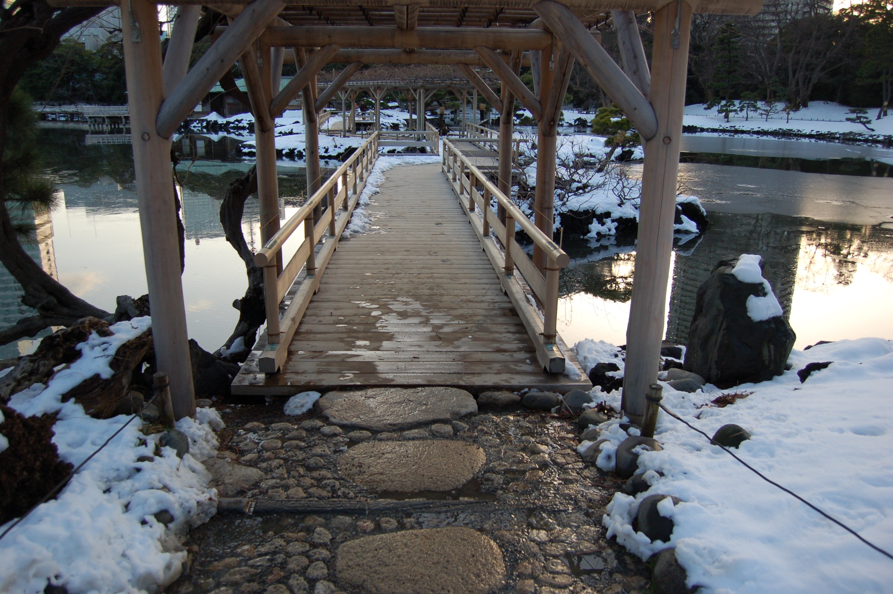 brown wooden foot bridge