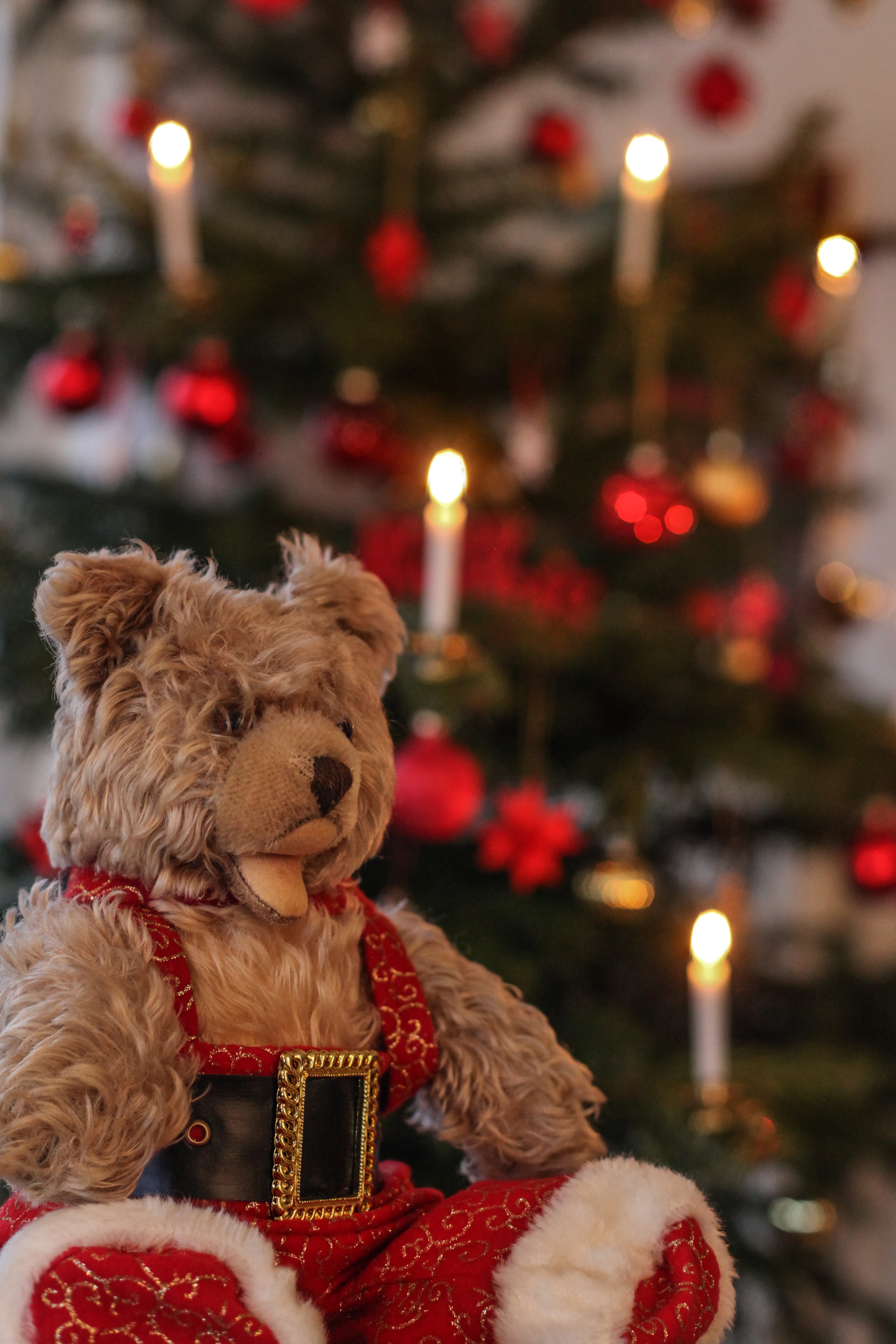 brow bear plush toy in santa suit