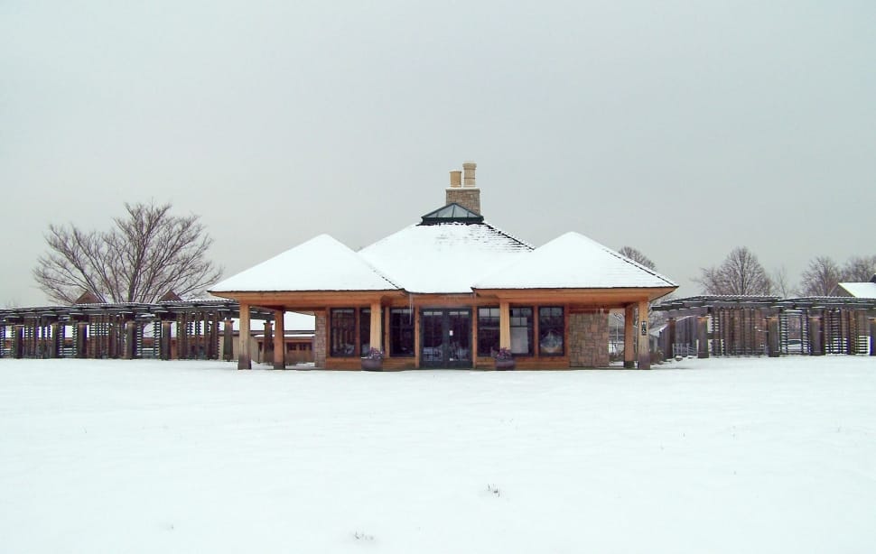 brown wooden house covered with snow preview