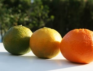 three citruses thumbnail