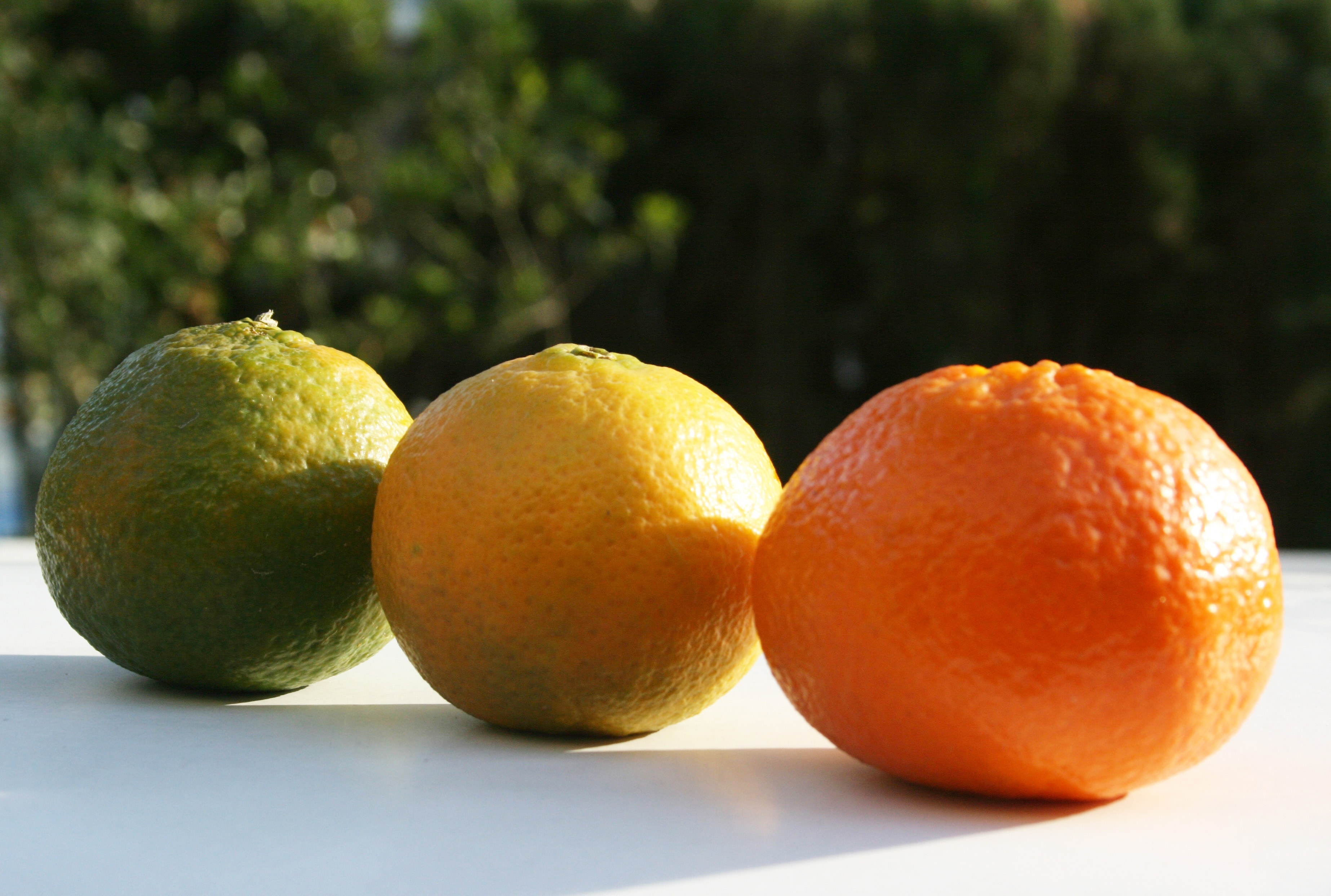 three citruses
