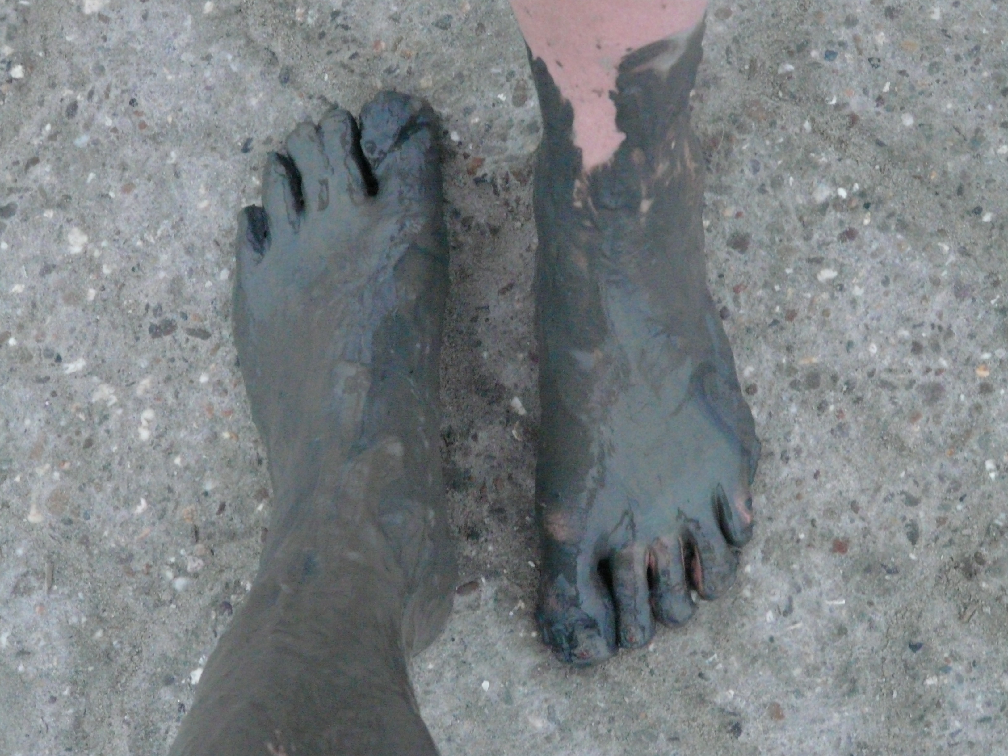 human feet