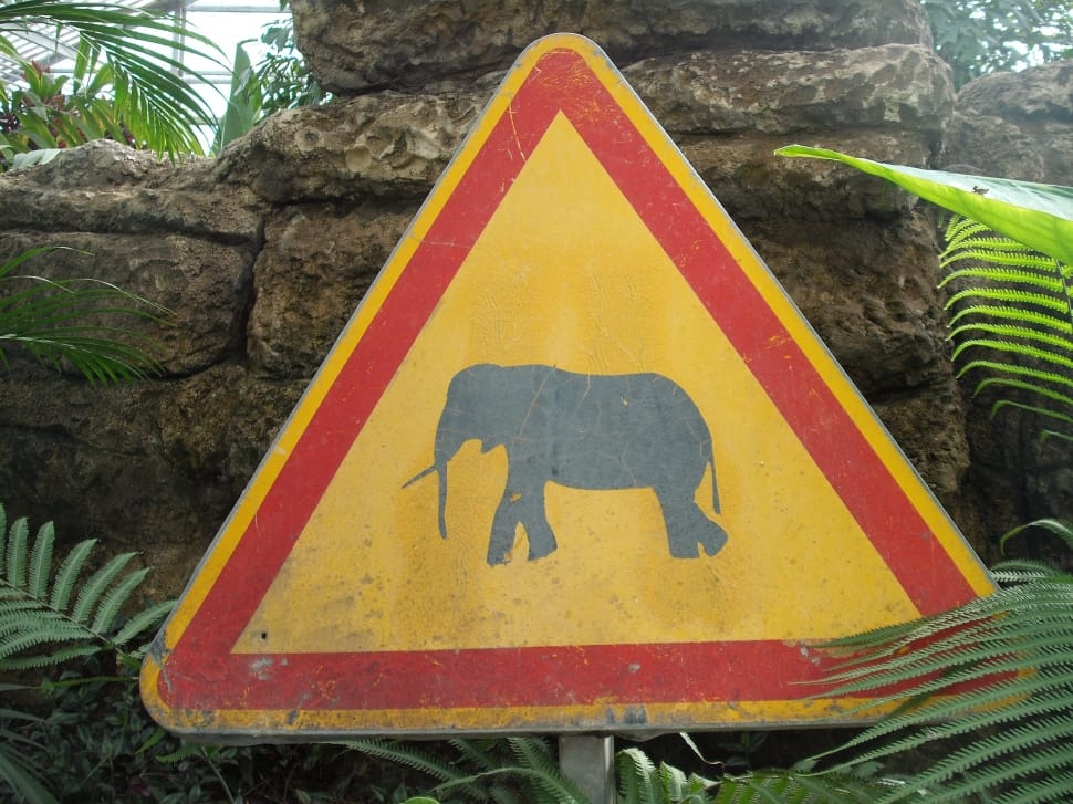 yellow red and gray elephant signage preview