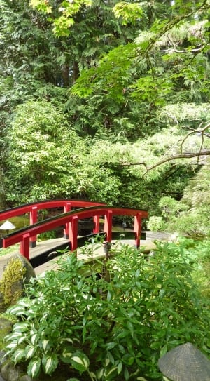 person taking photo of red bridge with green plants surroundings during daytime thumbnail
