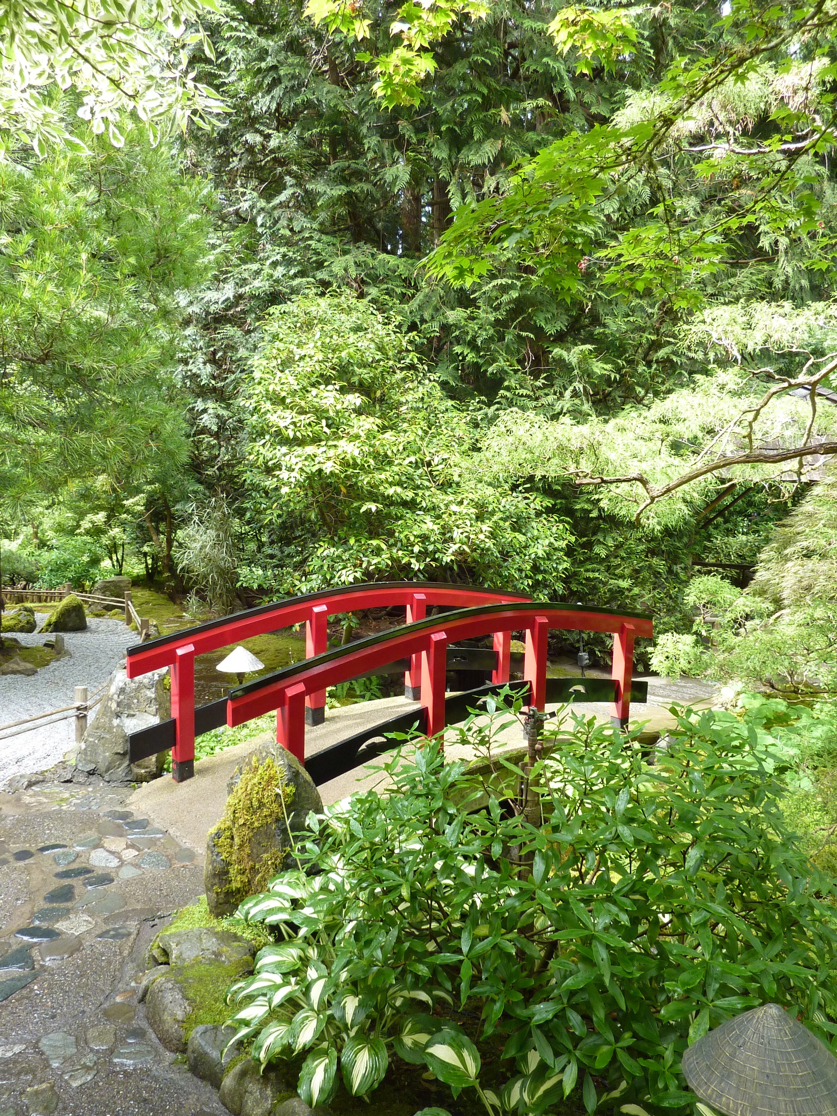 person taking photo of red bridge with green plants surroundings during daytime