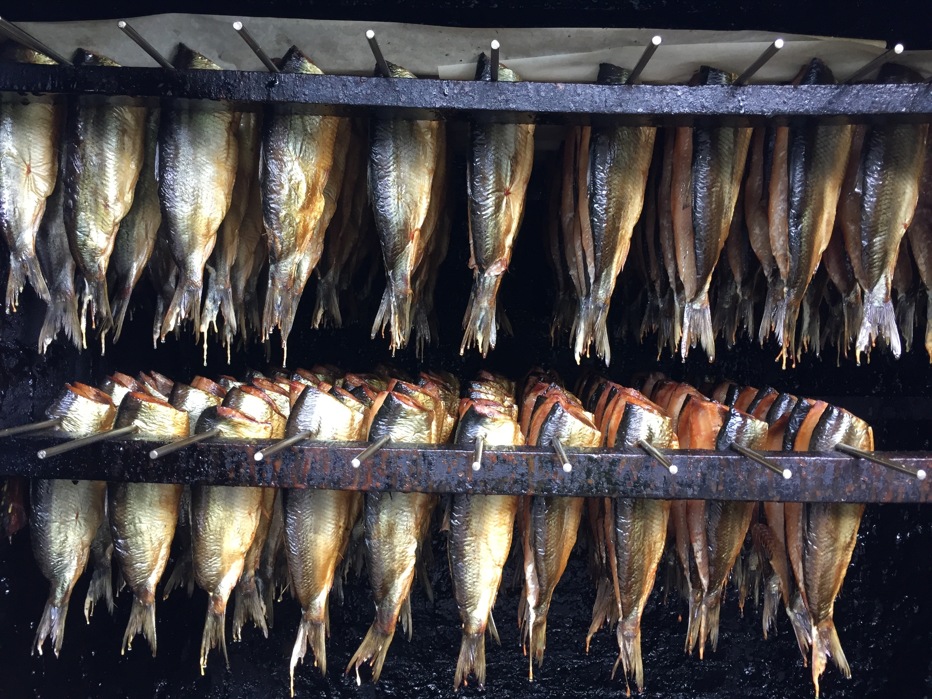 sardines lot
