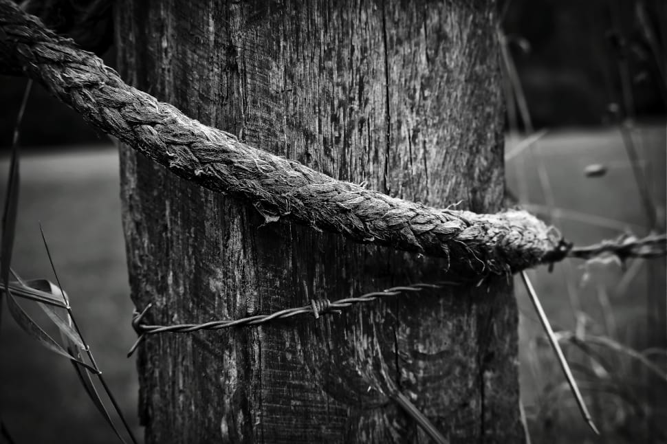 rope grayscale photo preview