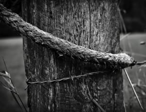 rope grayscale photo thumbnail