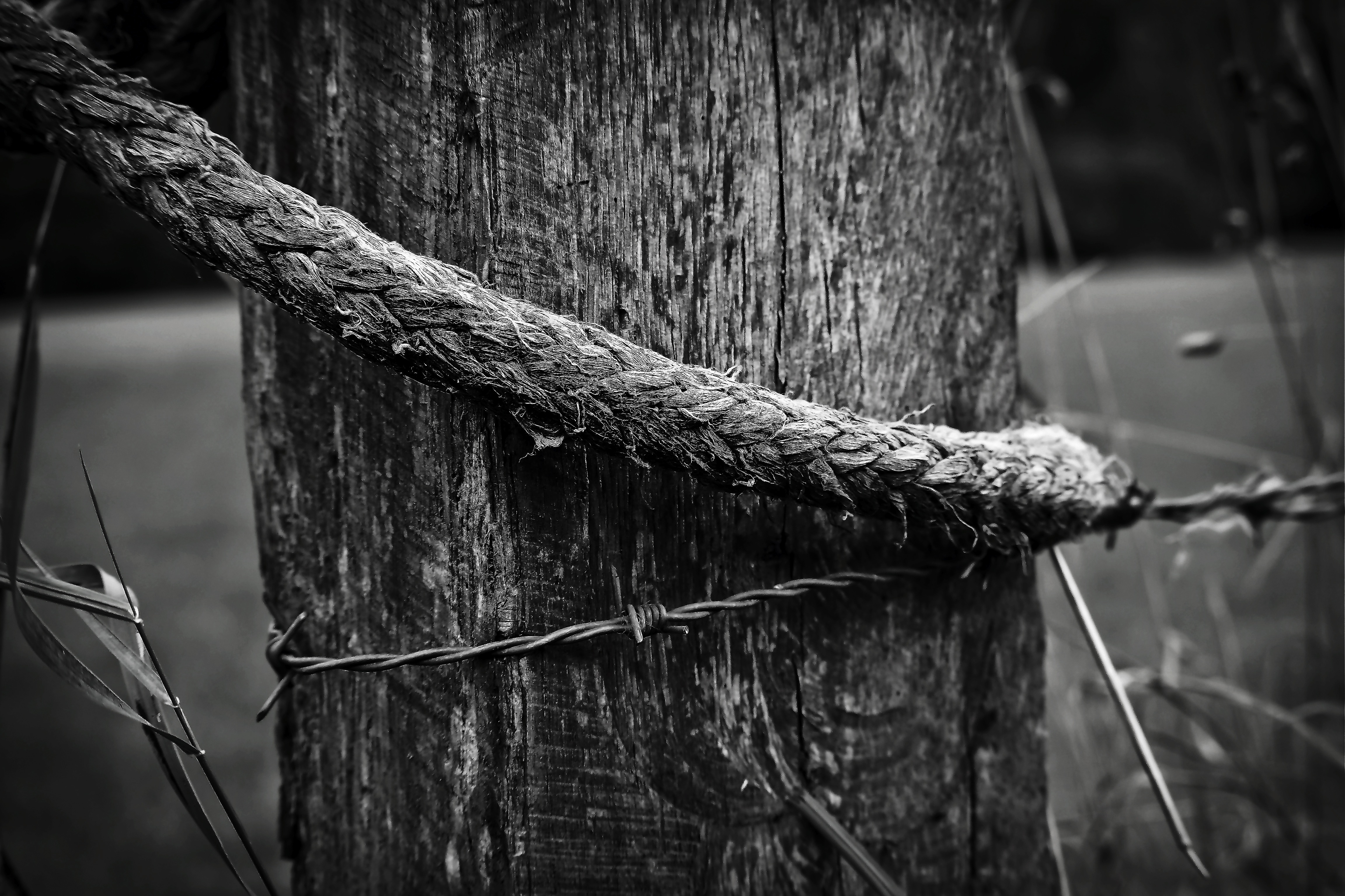 rope grayscale photo