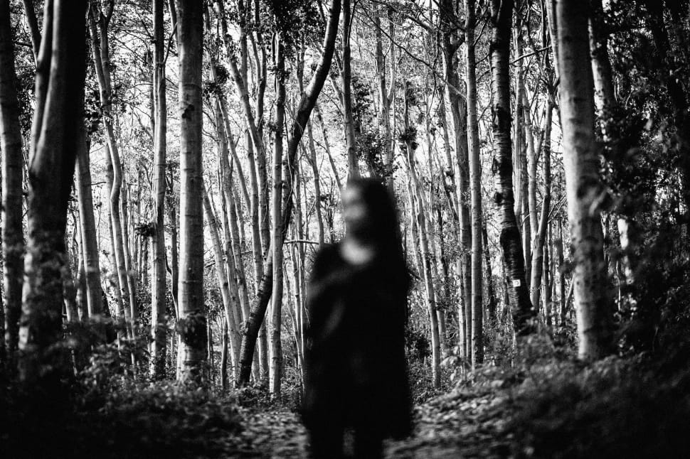 gray scale photo of girl walking on forest preview