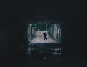 silhouette of person jumping in tunnel thumbnail