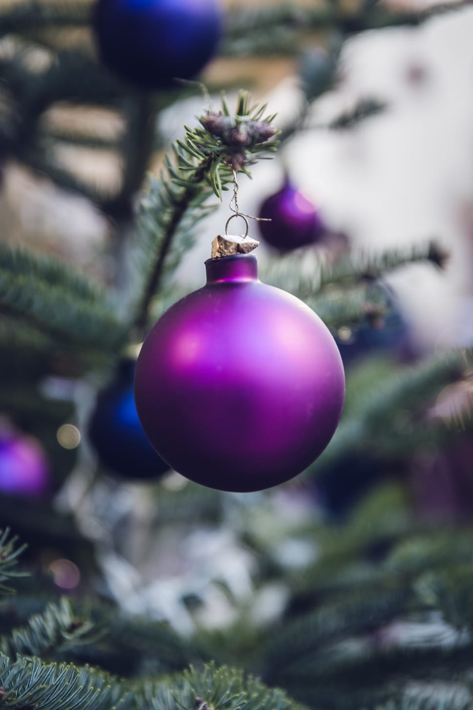 focus photography of purple bauble preview
