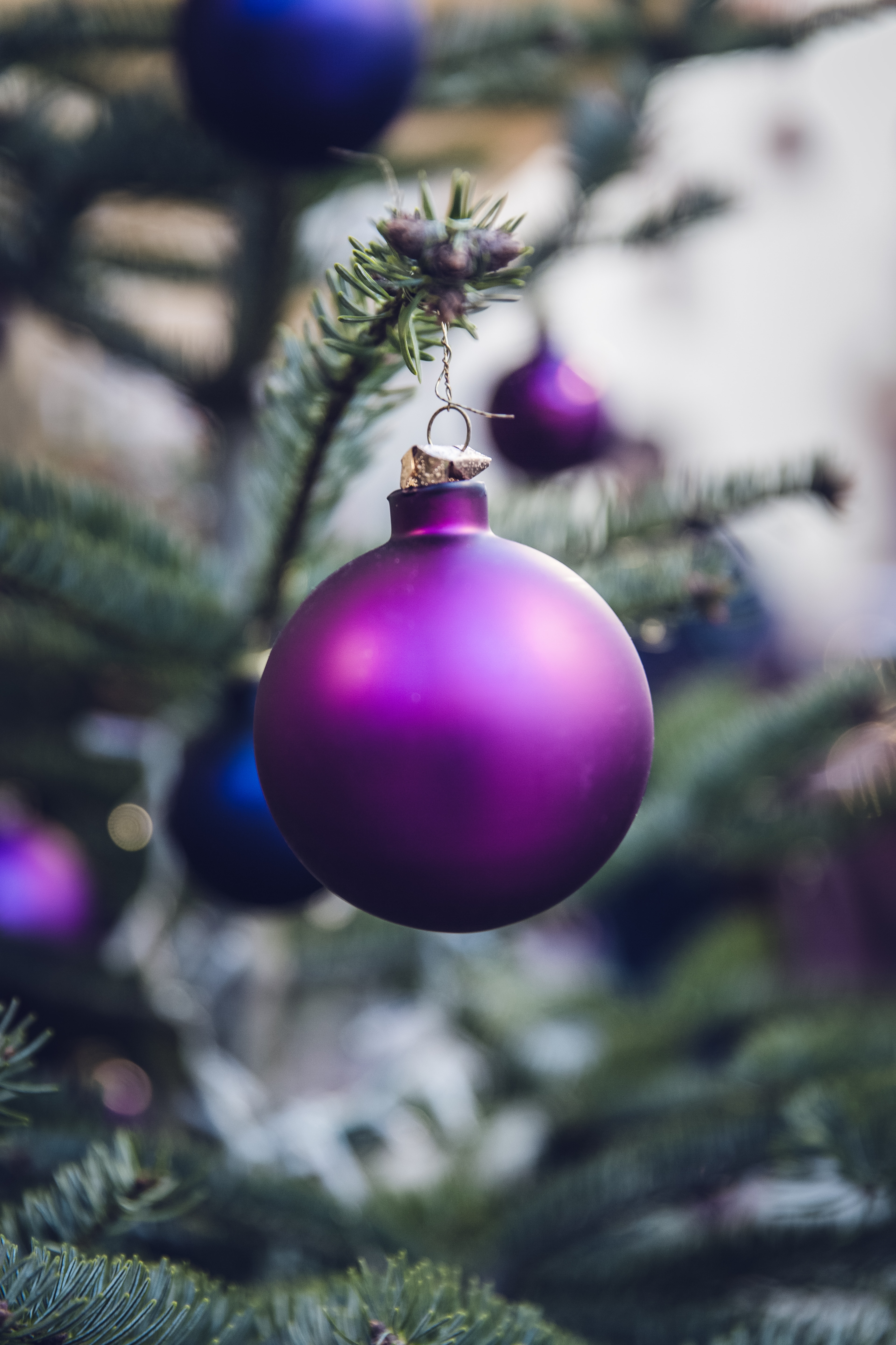 focus photography of purple bauble