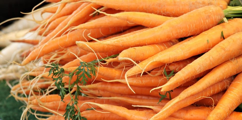 orange carrots preview