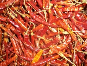 red chili pepper thumbnail