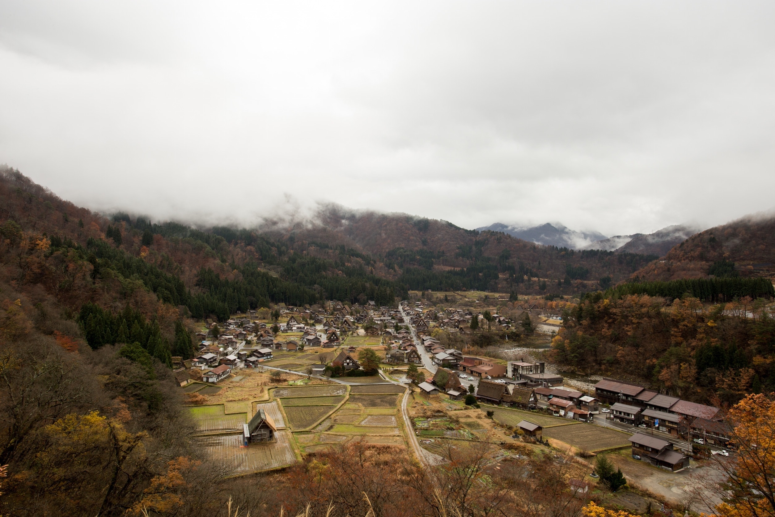 village with houses and rice farm landmark