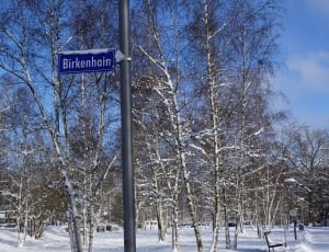 birkenhain signboard thumbnail