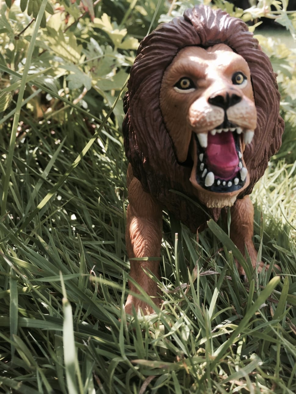 lion statute preview