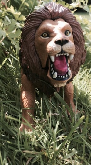 lion statute thumbnail