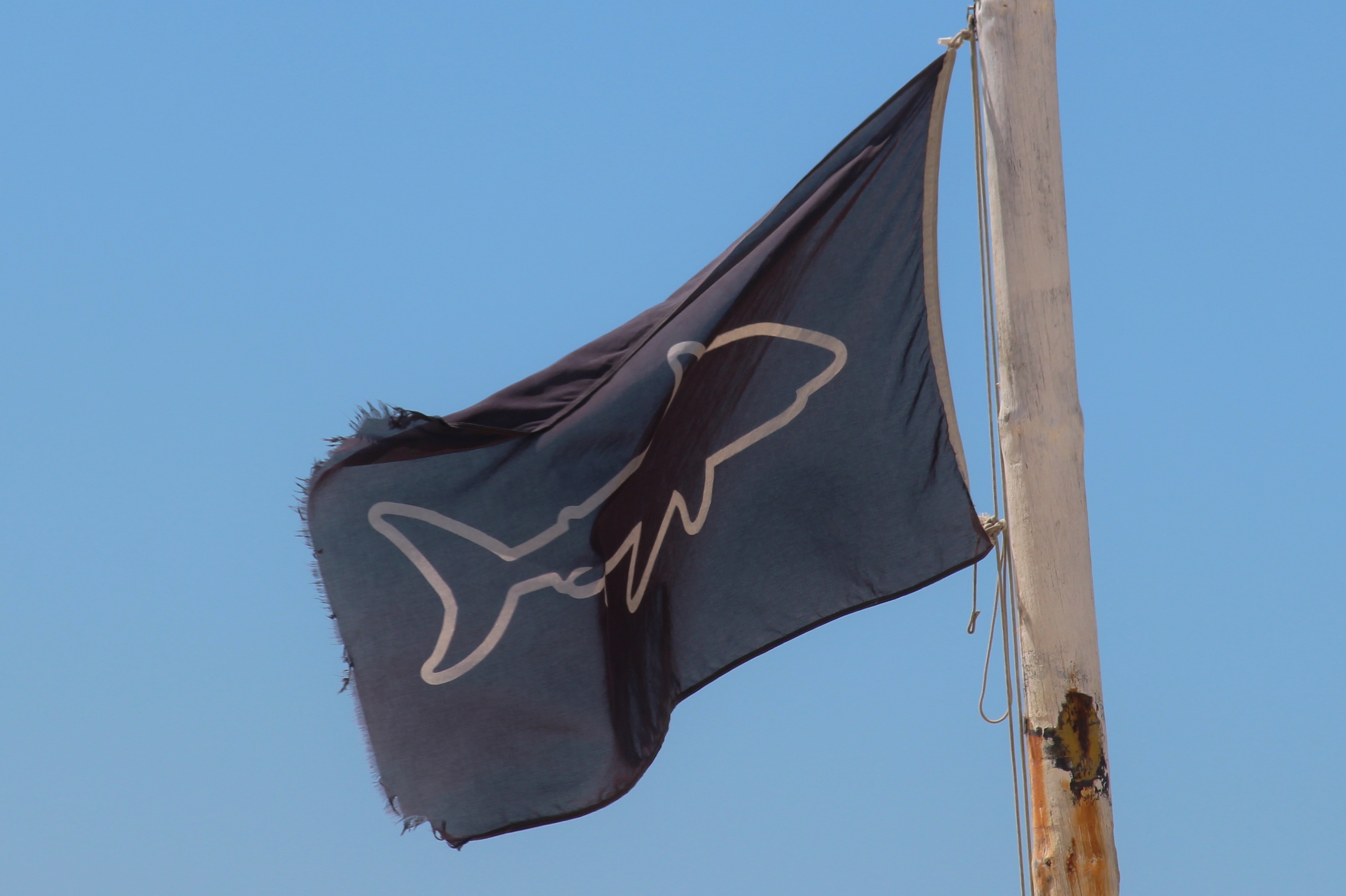 black and white shark print flag