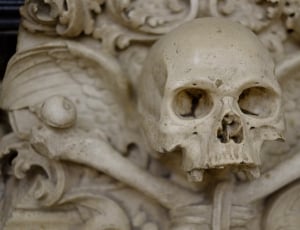 beige ceramic skull figurine thumbnail