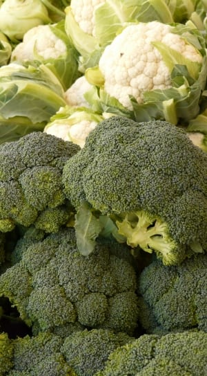 broccoli lot thumbnail