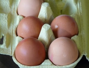 native chicken eggs thumbnail
