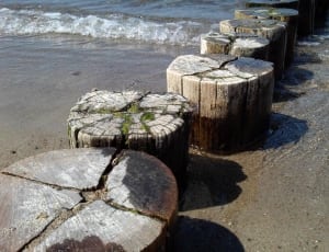 brown wooden posts on sand thumbnail