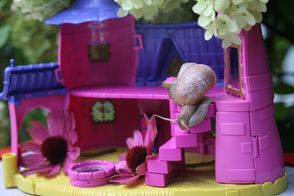 pink and purple doll house preview