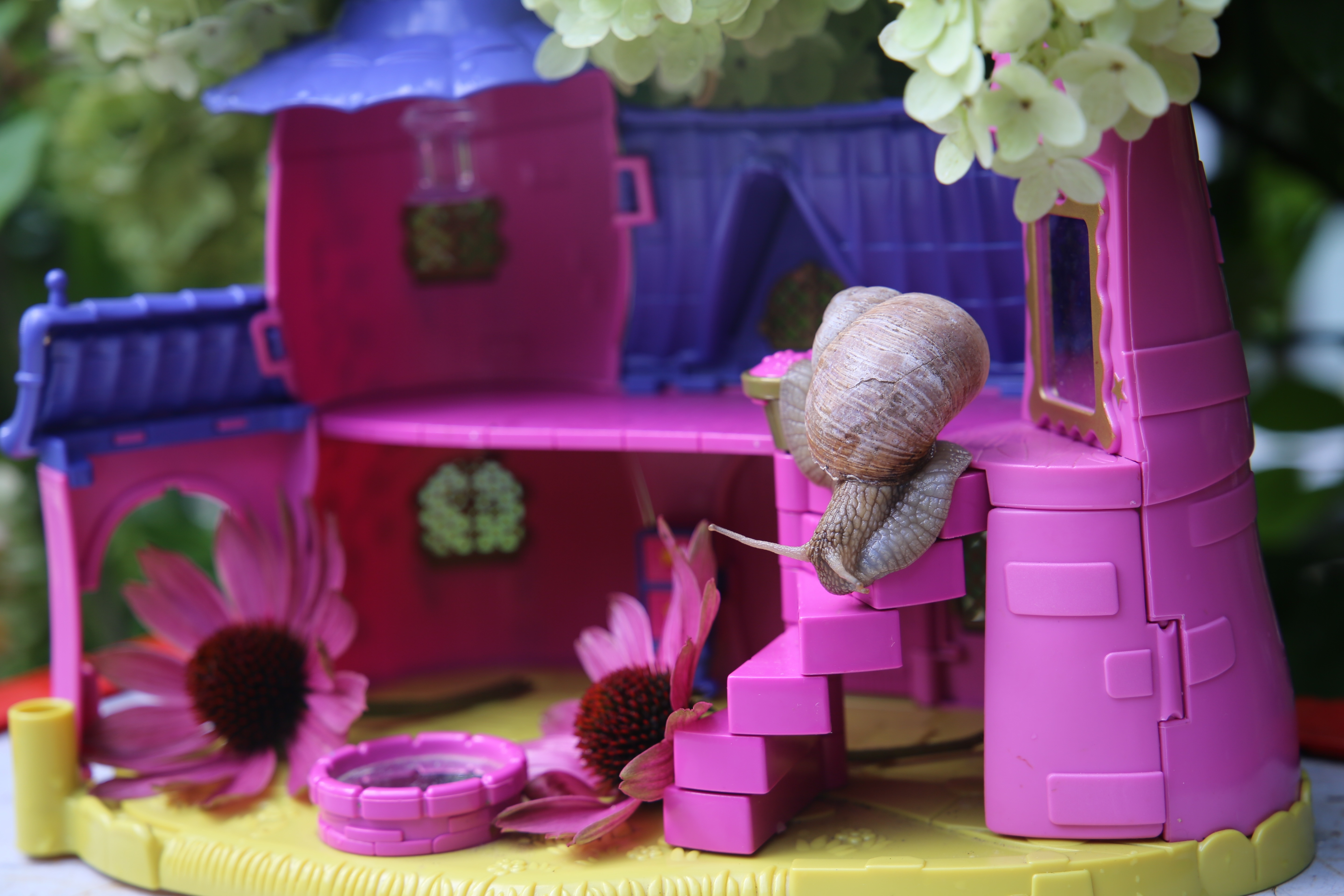 pink and purple doll house