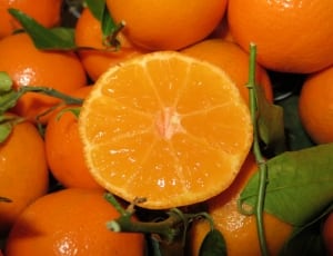 bunch of orange fruits thumbnail